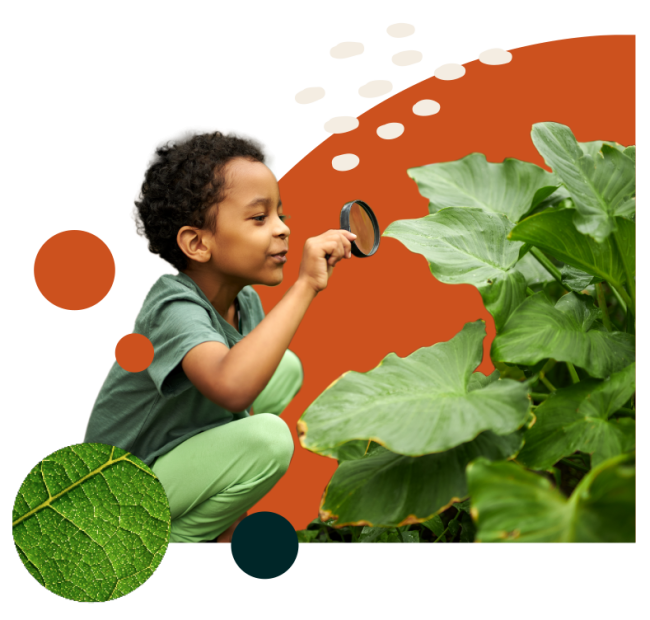 A crouched boy in green clothes inspect leafy green plants with a magnifying glass